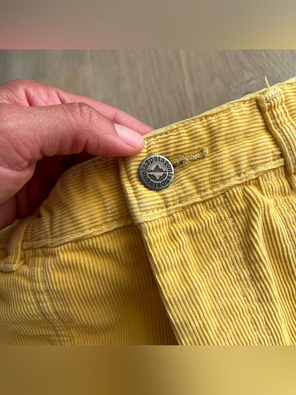 Women’s Patagonia Cord Stand Up 3” Shorts View 2